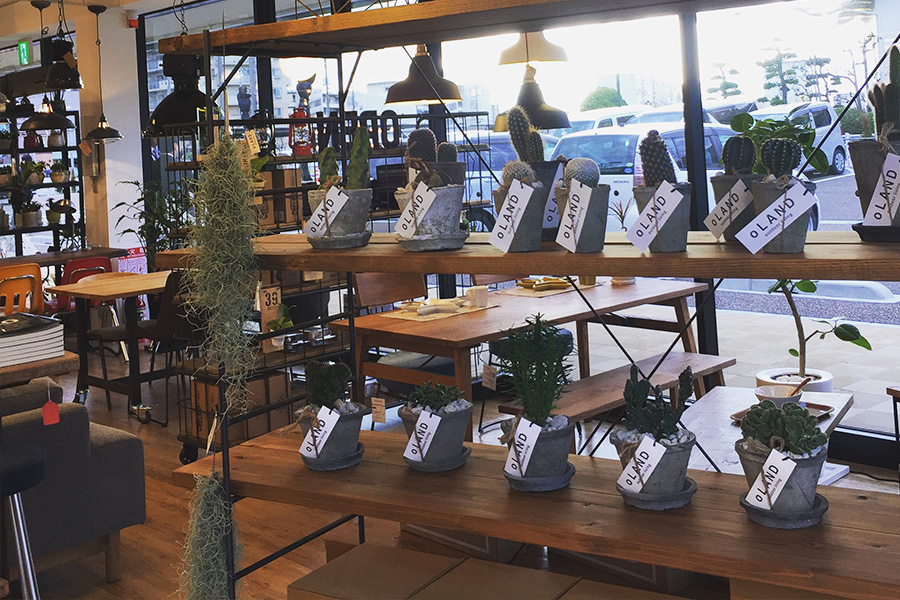 Transit ジェームス山テラス店　