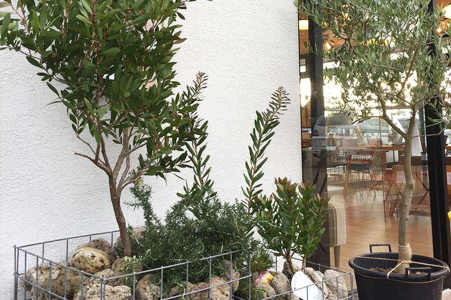 Transit ジェームス山テラス店　